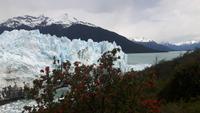 Spaziergang entlang des Gletscher Perito Moreno
