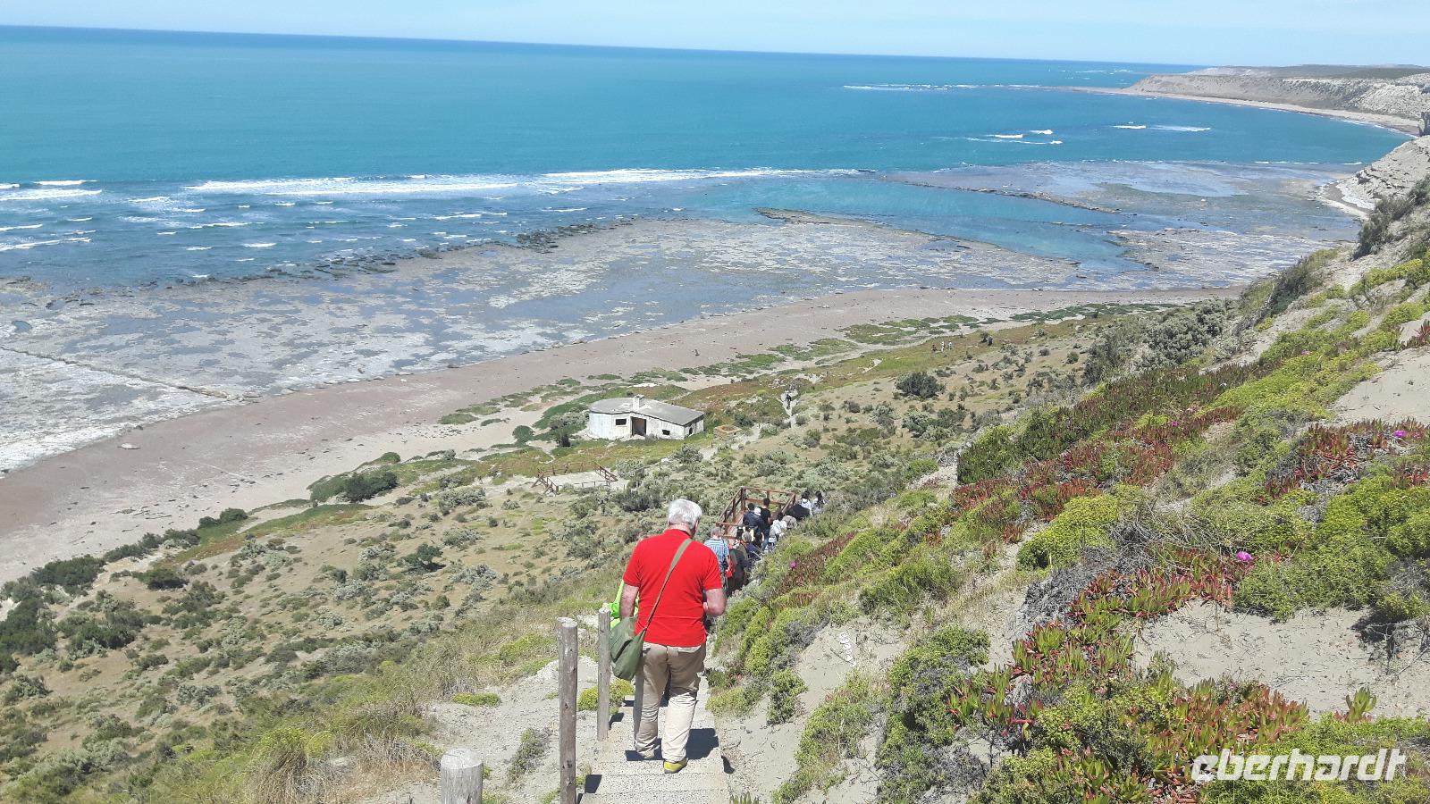 Halbinsel Valdés (Punta Delgada - Spaziergang zu den See-Elefanten)