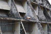 Kathedrale von Rio de Janeiro