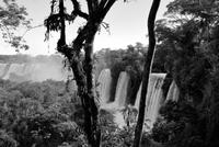 Iguazú-Wasserfall - Argentinische Seite