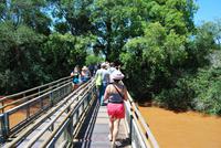 Iguazú-Wasserfall - Argentinische Seite