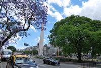 Buenos Aires - Obelisk
