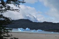 Lago Grey - Gletscher Grey - Nationalpark Torres del Paine - Chile