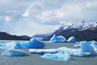 Lago Grey - Gletscher Grey - Nationalpark Torres del Paine - Chile