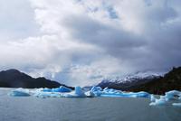 Lago Grey - Gletscher Grey - Nationalpark Torres del Paine - Chile