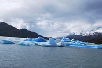 Lago Grey - Gletscher Grey - Nationalpark Torres del Paine - Chile