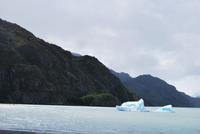 Lago Grey - Gletscher Grey - Nationalpark Torres del Paine - Chile