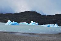 Lago Grey - Gletscher Grey - Nationalpark Torres del Paine - Chile