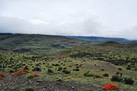 Nationalpark Torres del Paine - Chile