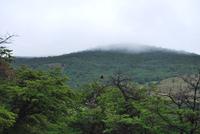 Geier - Nationalpark Torres del Paine - Chile