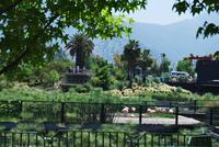 Bicentenario Park - Santiago de Chile