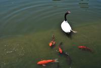 Bicentenario Park - Santiago de Chile