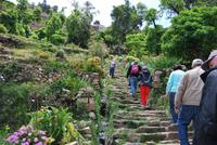 Sonnen-Insel - Titicaca-See - Bolivien
