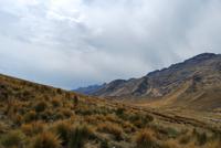 Abra La Raya - Altiplano - Peru