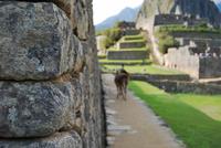 Machu Pichu - Peru