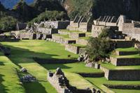 Machu Pichu - Peru
