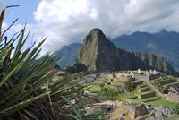 Machu Pichu - Peru