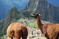 Machu Pichu - Peru