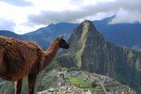 Machu Pichu - Peru
