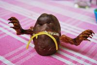 Kartoffelmonster - Heiliges Tal - Peru