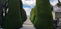 Friedhof von Punta Arenas