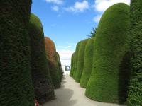 Punta Arenas Friedhof
