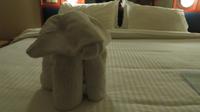 Elefant im Bett