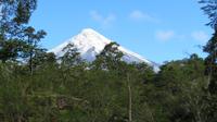 Blick auf den Osorno
