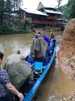 Fahrt in den Regenwald