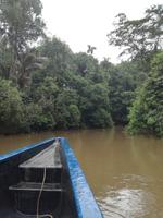 Fahrt auf den Fluss Cuyabeno 