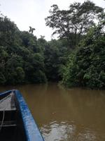 Fahrt auf den Fluss Cuyabeno 