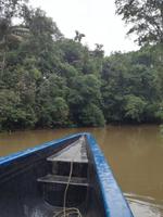 Fahrt auf den Fluss Cuyabeno 