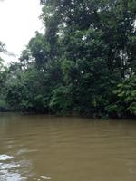 Fahrt auf den Fluss Cuyabeno 