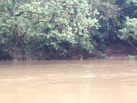 Fahrt auf den Fluss Cuyabeno 