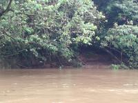 Fahrt auf den Fluss Cuyabeno 