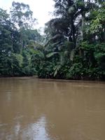 Fahrt auf den Fluss Cuyabeno 
