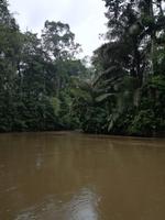 Fahrt auf den Fluss Cuyabeno 