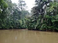 Fahrt auf den Fluss Cuyabeno 