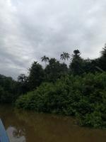 Fahrt auf den Fluss Cuyabeno 