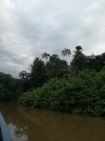 Fahrt auf den Fluss Cuyabeno 