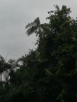 Fahrt auf den Fluss Cuyabeno 