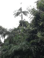 Fahrt auf den Fluss Cuyabeno 