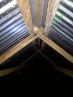 Tapir Lodge im Cuyabeno Reservat