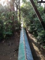 Tapir Lodge im Cuyabeno Reservat