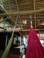 Tapir Lodge im Cuyabeno Reservat