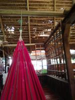 Tapir Lodge im Cuyabeno Reservat