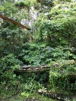 Tapir Lodge im Cuyabeno Reservat