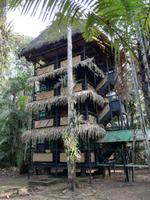 Tapir Lodge im Cuyabeno Reservat