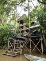 Tapir Lodge im Cuyabeno Reservat