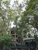 Tapir Lodge im Cuyabeno Reservat